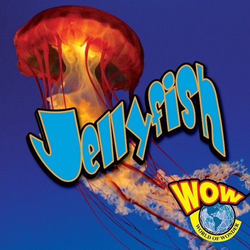 Jellyfish (WOW World of Wonder)