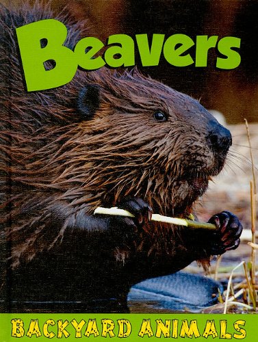 Beavers (Backyard Animals)