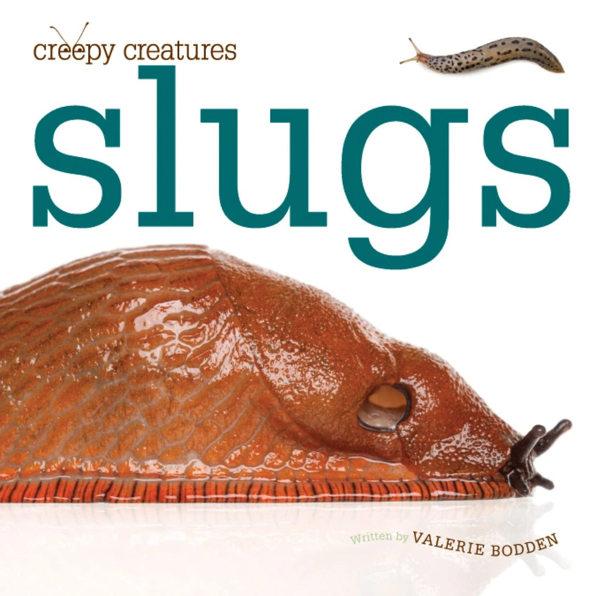 Slugs (Creepy Creatures (Creative Education))