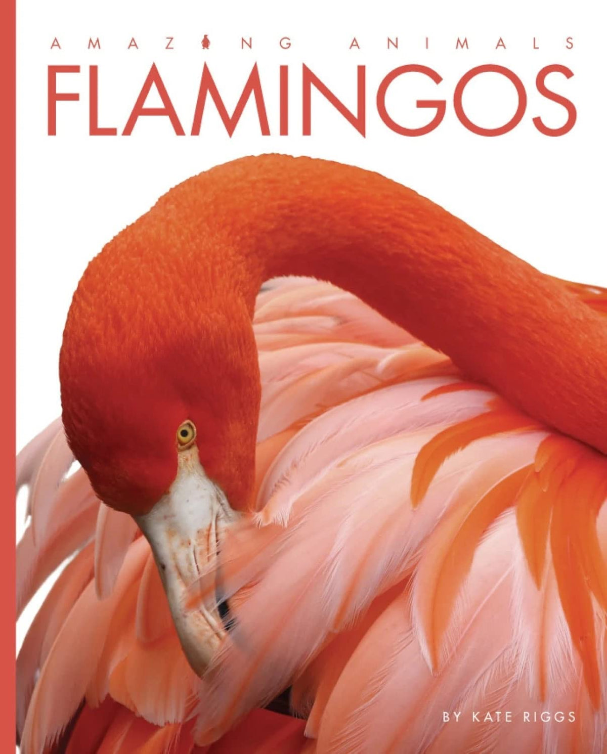 Flamingos (Amazing Animals)
