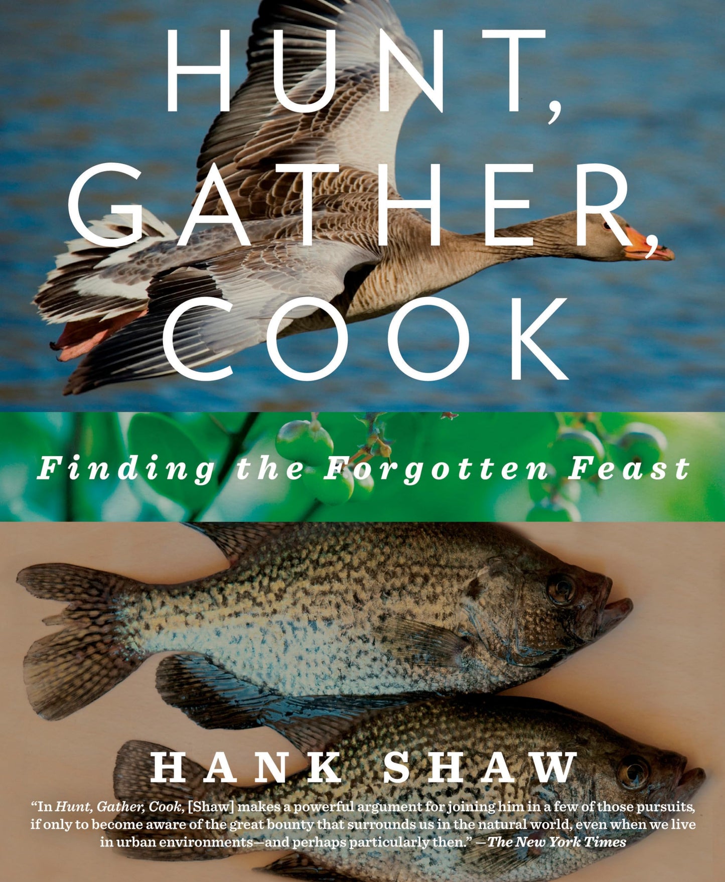 Hunt, Gather, Cook: Finding the Forgotten Feast: A Cookbook - 8215