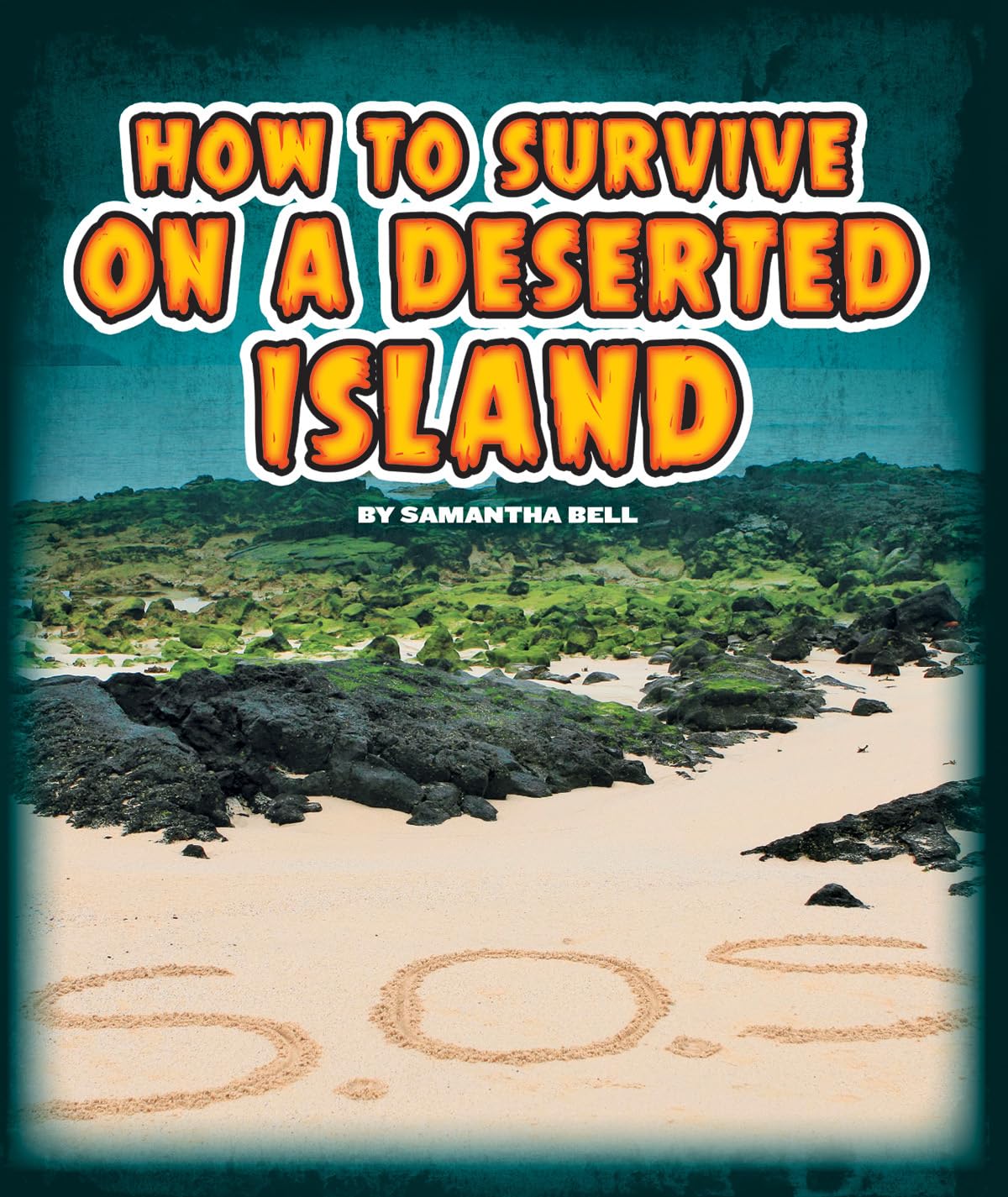 How to Survive on a Deserted Island (Survival Guides) - 3374