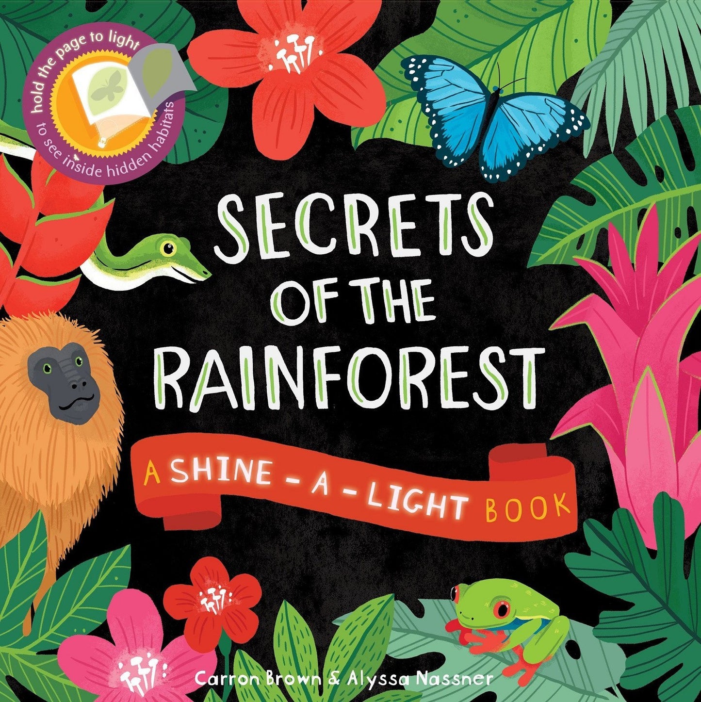 Secrets of the Rain Forest (Shine-A-Light)
