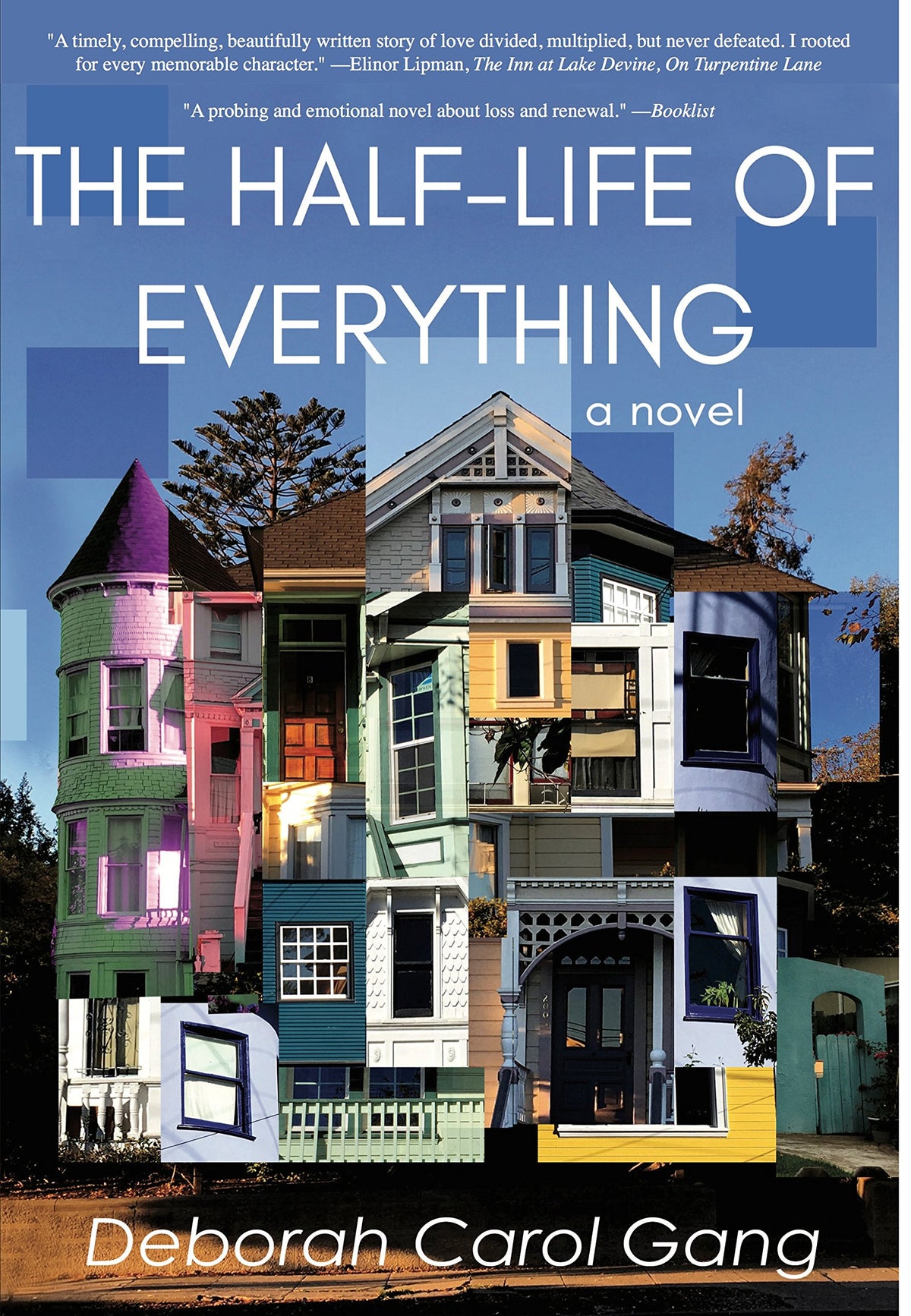 The Half-Life of Everything: A Novel