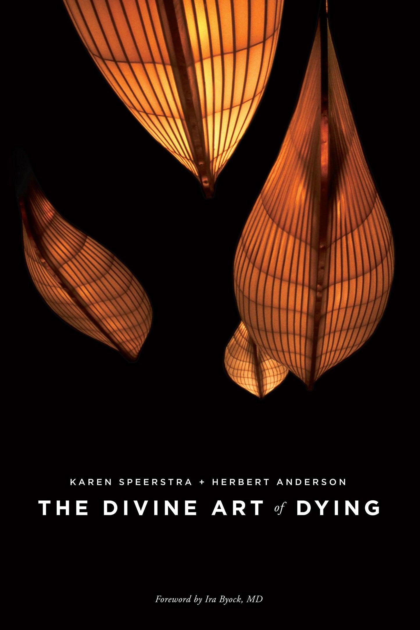 The Divine Art of Dying: How to Live Well While Dying