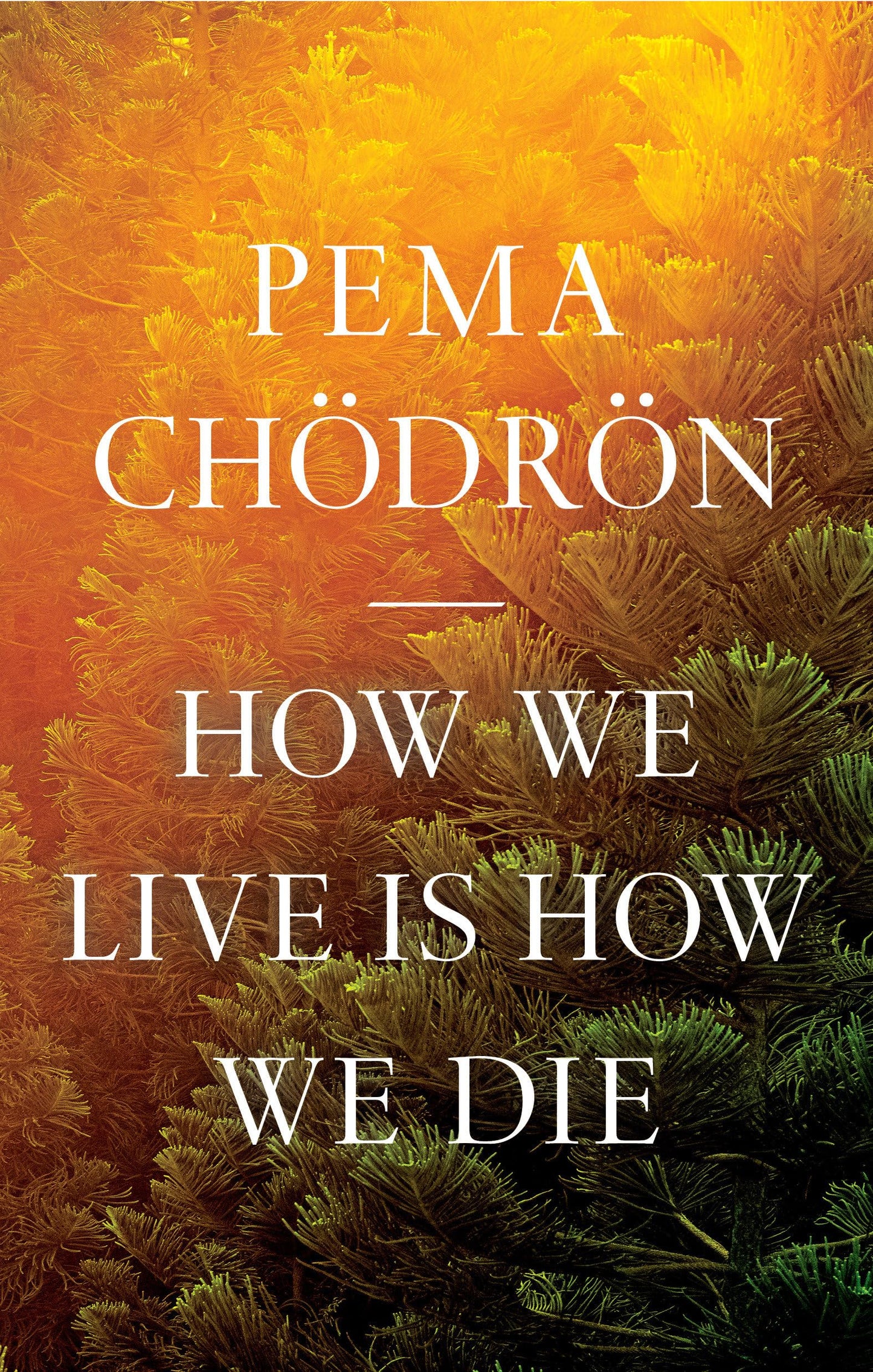 How We Live Is How We Die - 2151