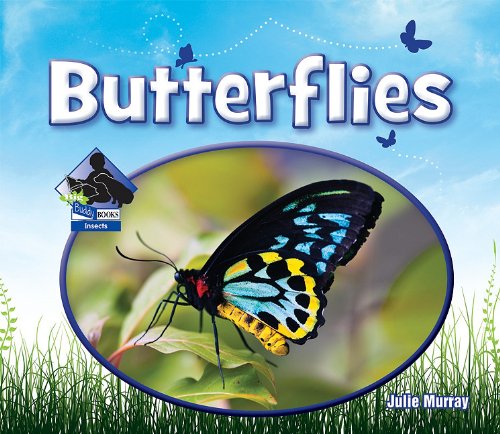 Butterflies (Insects) - 4317