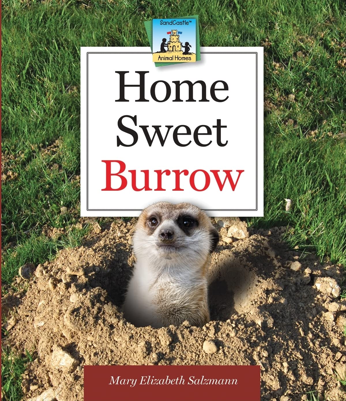Home Sweet Burrow (Animal Homes)