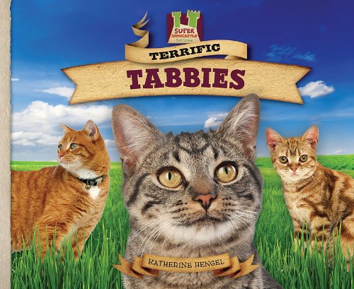 Terrific Tabbies (Cat Craze) - 2123