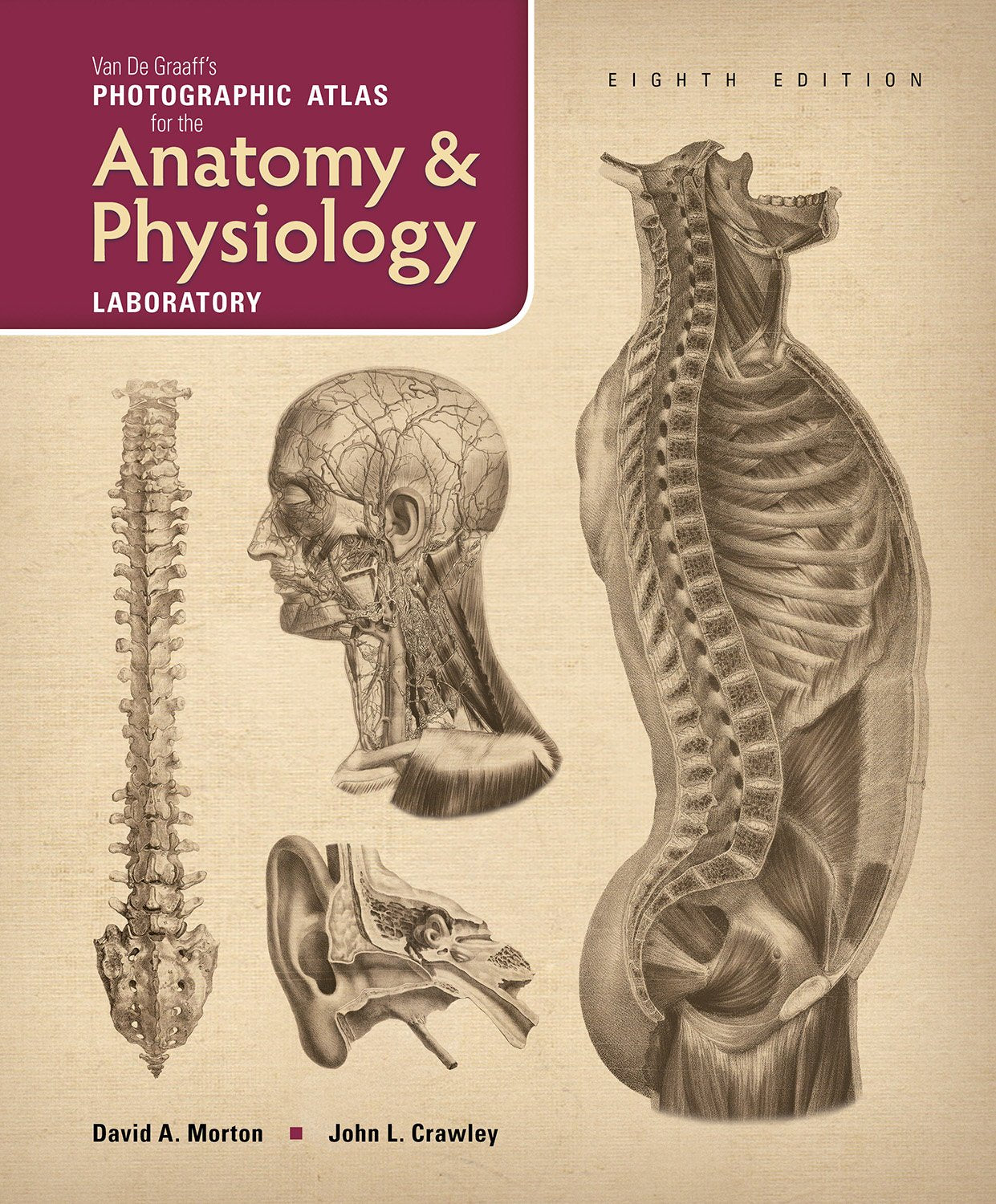 Van De Graaff's Photographic Atlas for the Anatomy & Physiology Laboratory - 5349