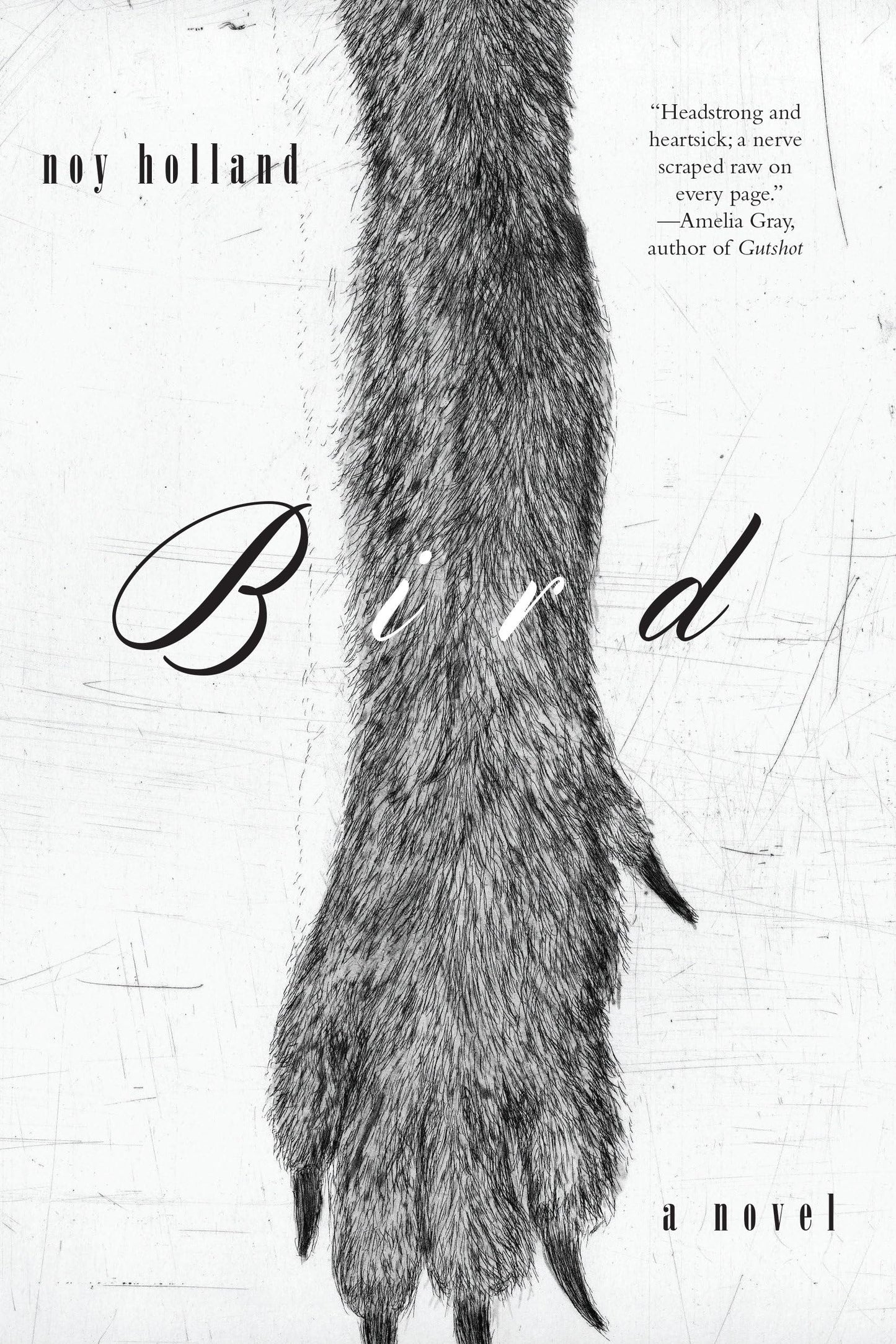 Bird: A Novel