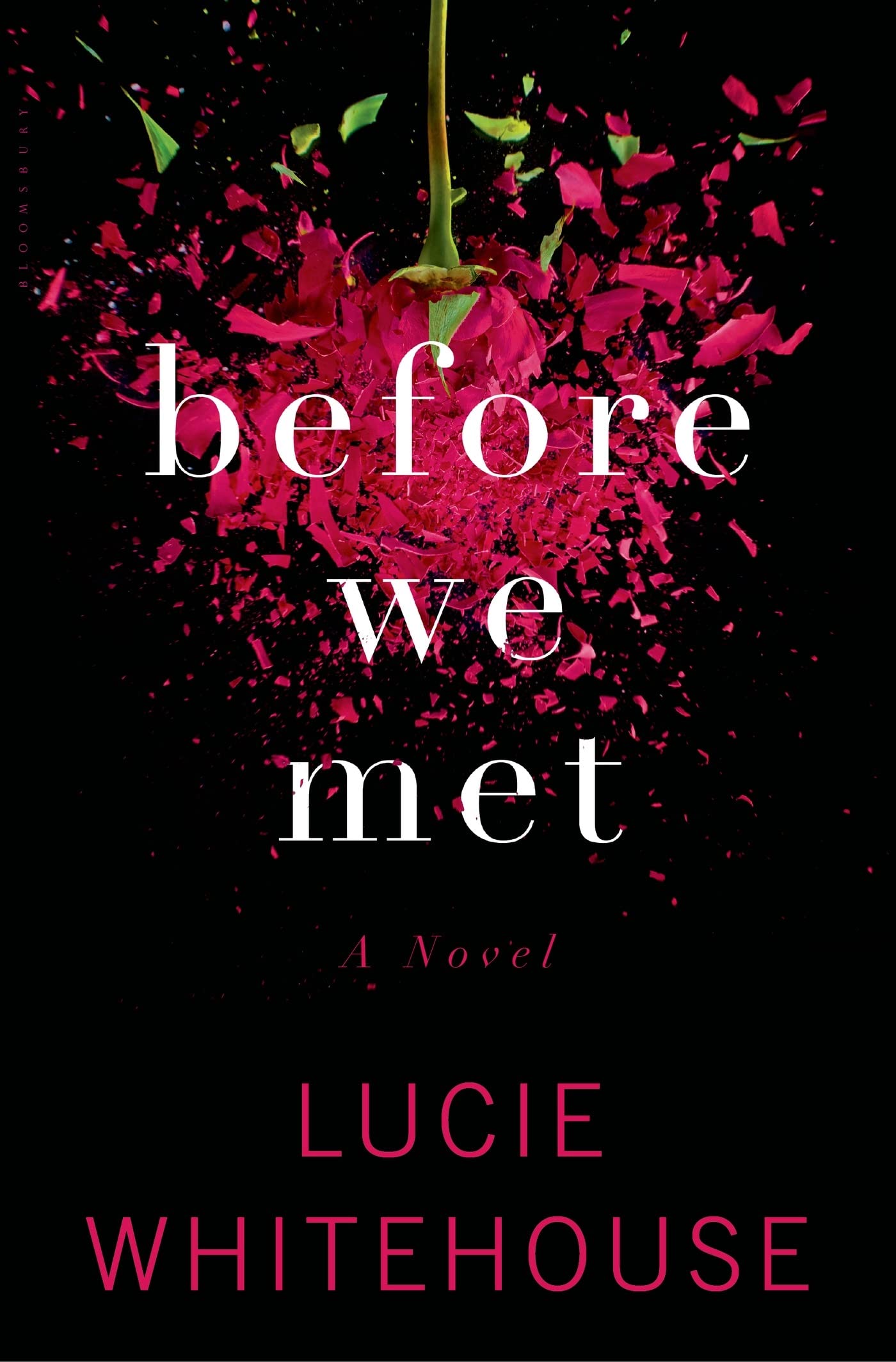 Before We Met: A Novel