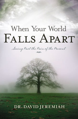 When Your World Falls Apart See Past the Pain of the Present