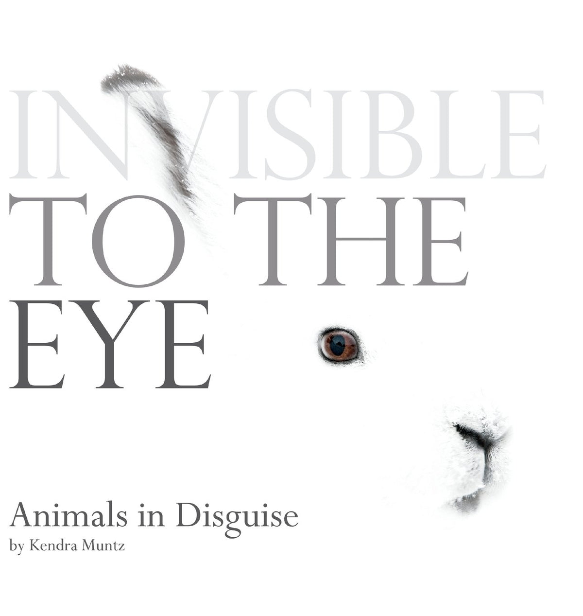 Invisible to the Eye: Animals in Disguise