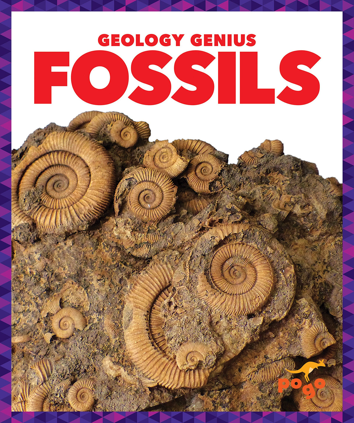 Fossils (Pogo Books: Geology Genius)