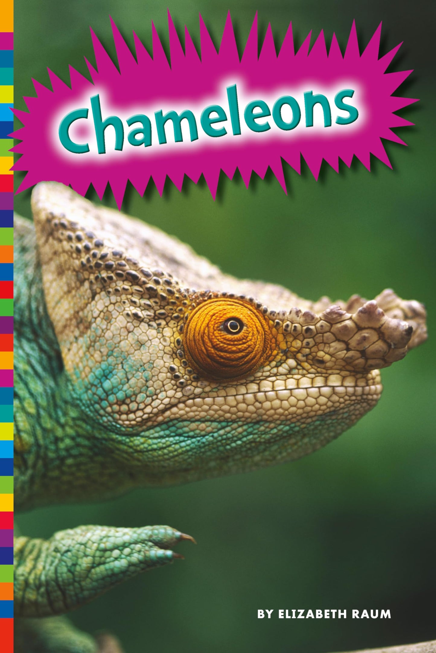 Chameleons (Lizards)