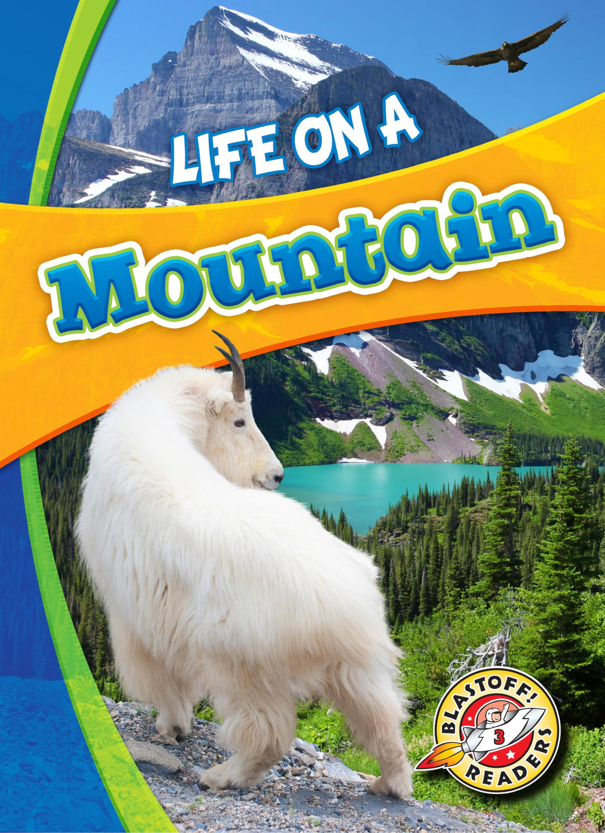 Life on a Mountain (Biomes Alive!)