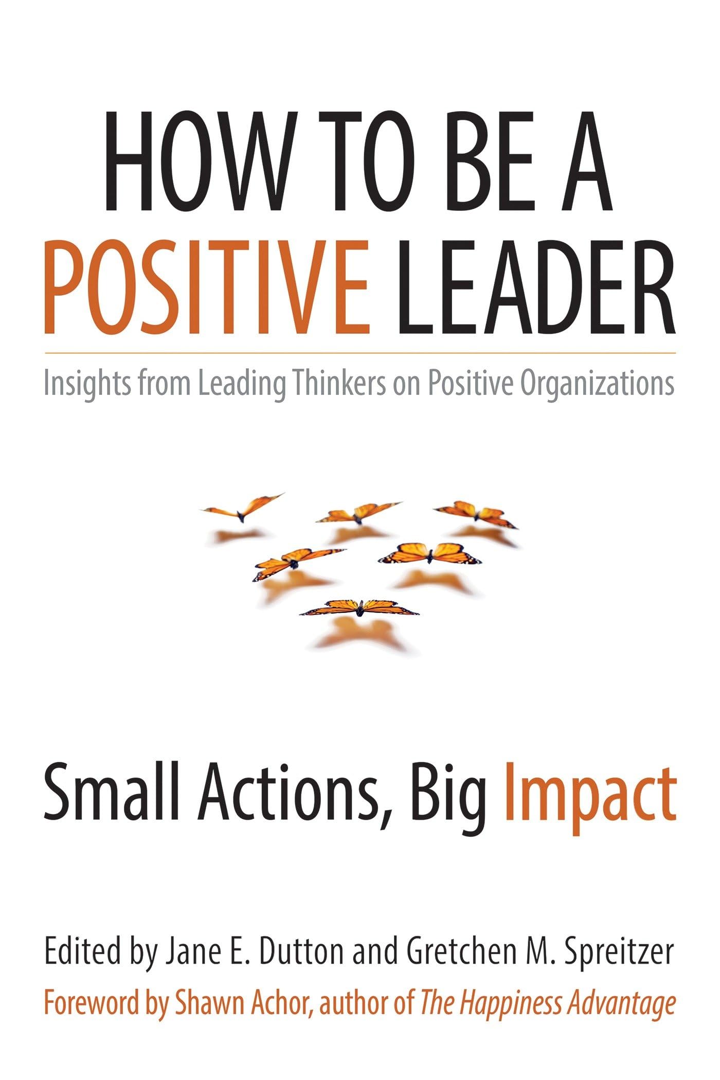 How to Be a Positive Leader: Small Actions, Big Impact - 3079