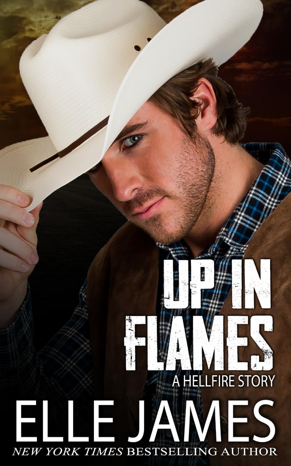 Up In Flames (Hellfire Series)