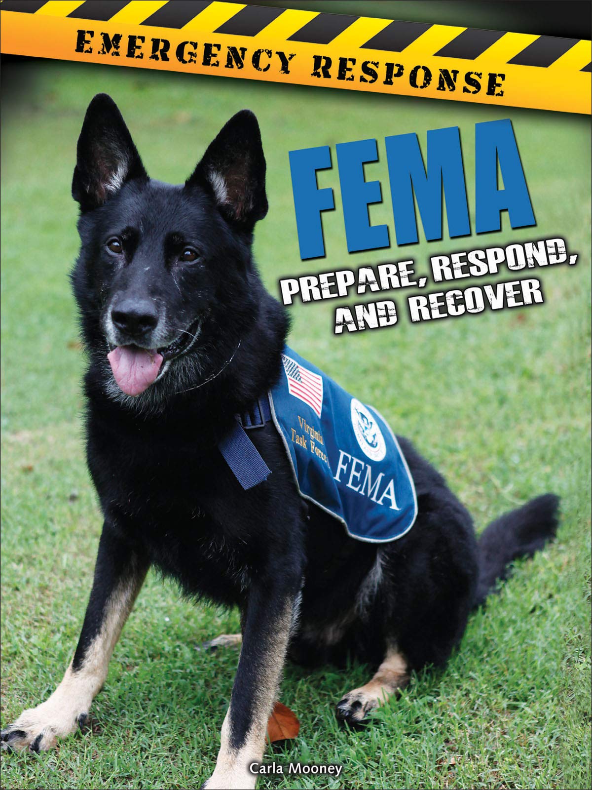 FEMA (Emergency Response)