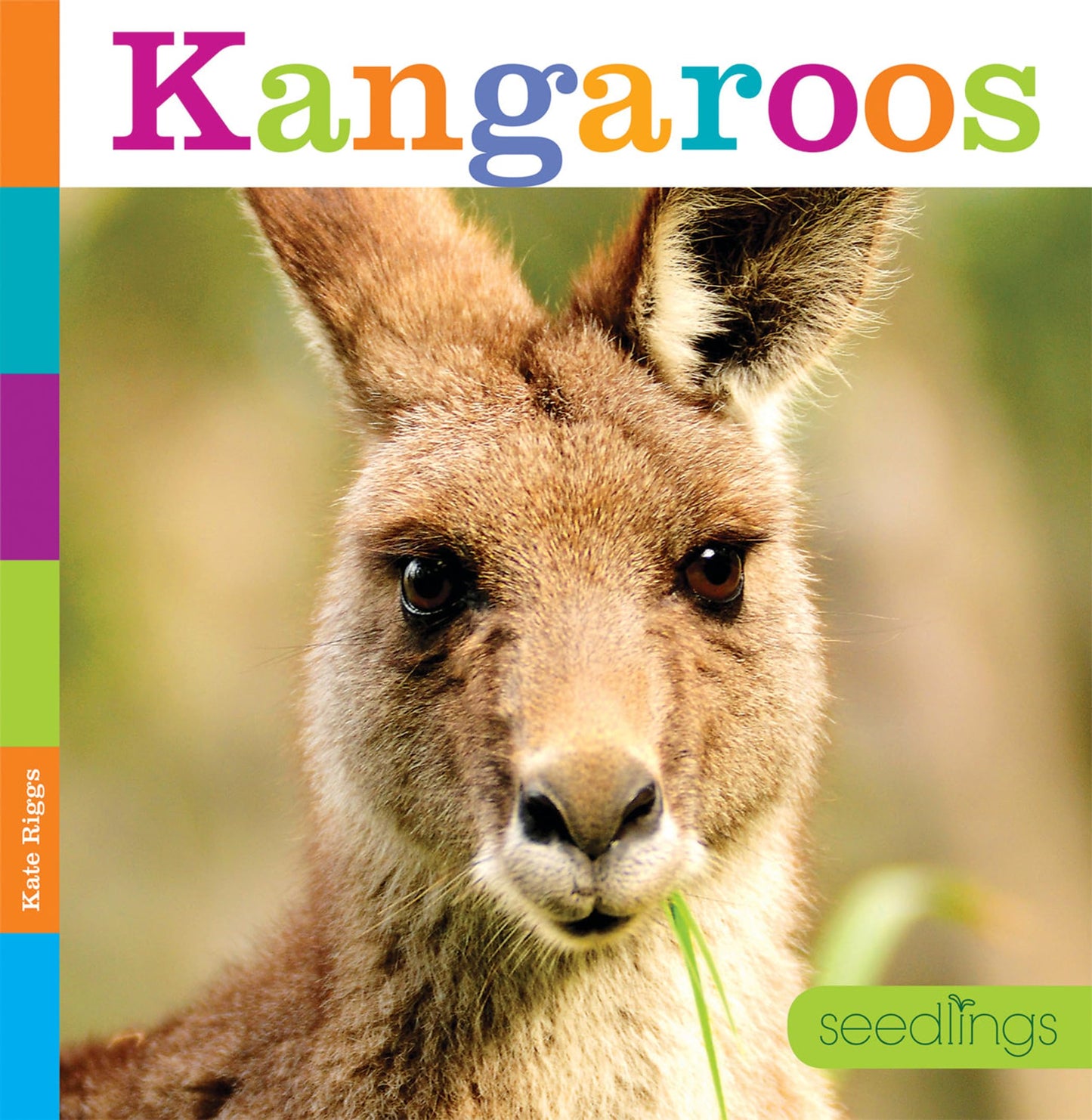 Kangaroos (Seedlings)
