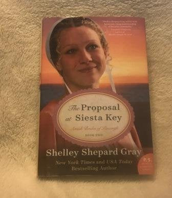Proposal at Siesta Key