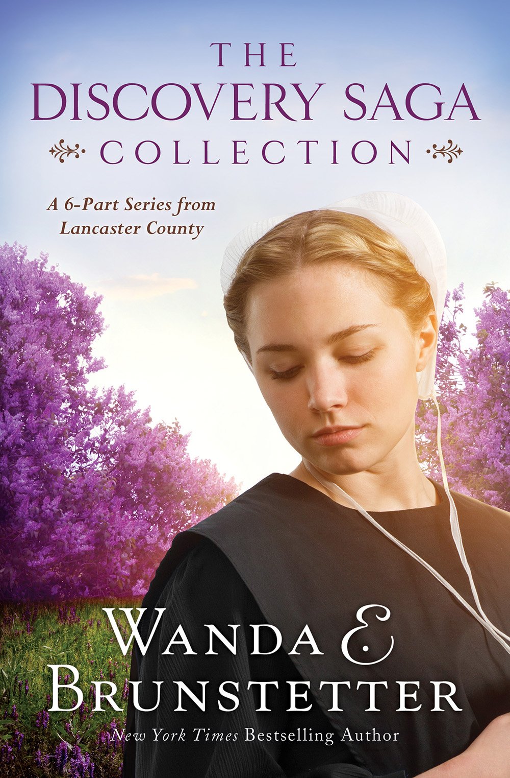 The Discovery Saga Collection: A 6-Part Series from Lancaster County (The Discovery: A Lancaster County Saga)