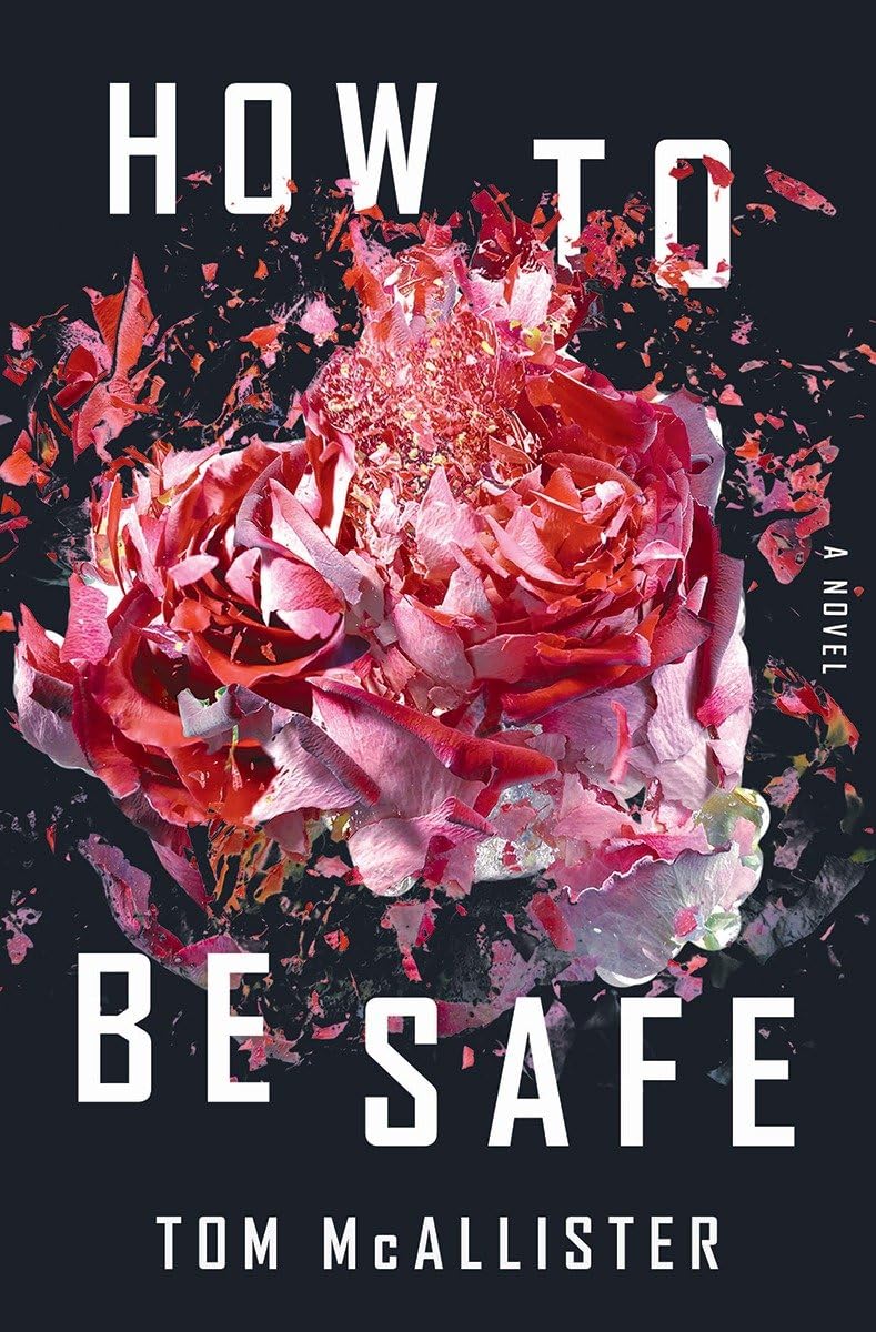 How to Be Safe: A Novel
