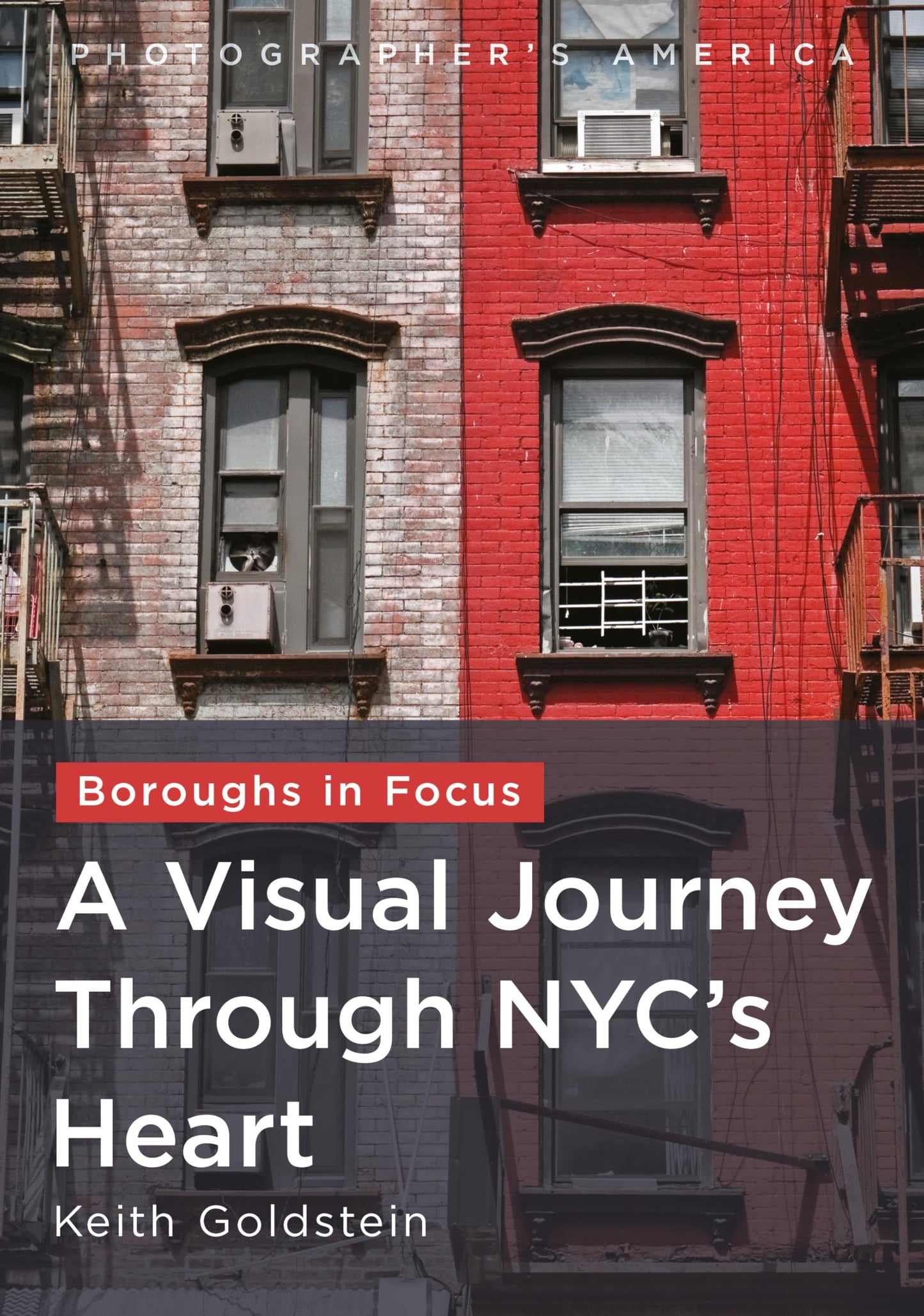 Boroughs in Focus: A Visual Journey Through New York City’s Heart (Photographer's America)