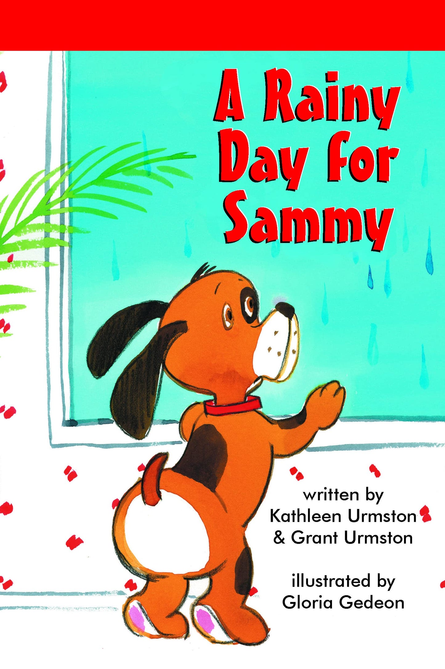 A Rainy Day For Sammy