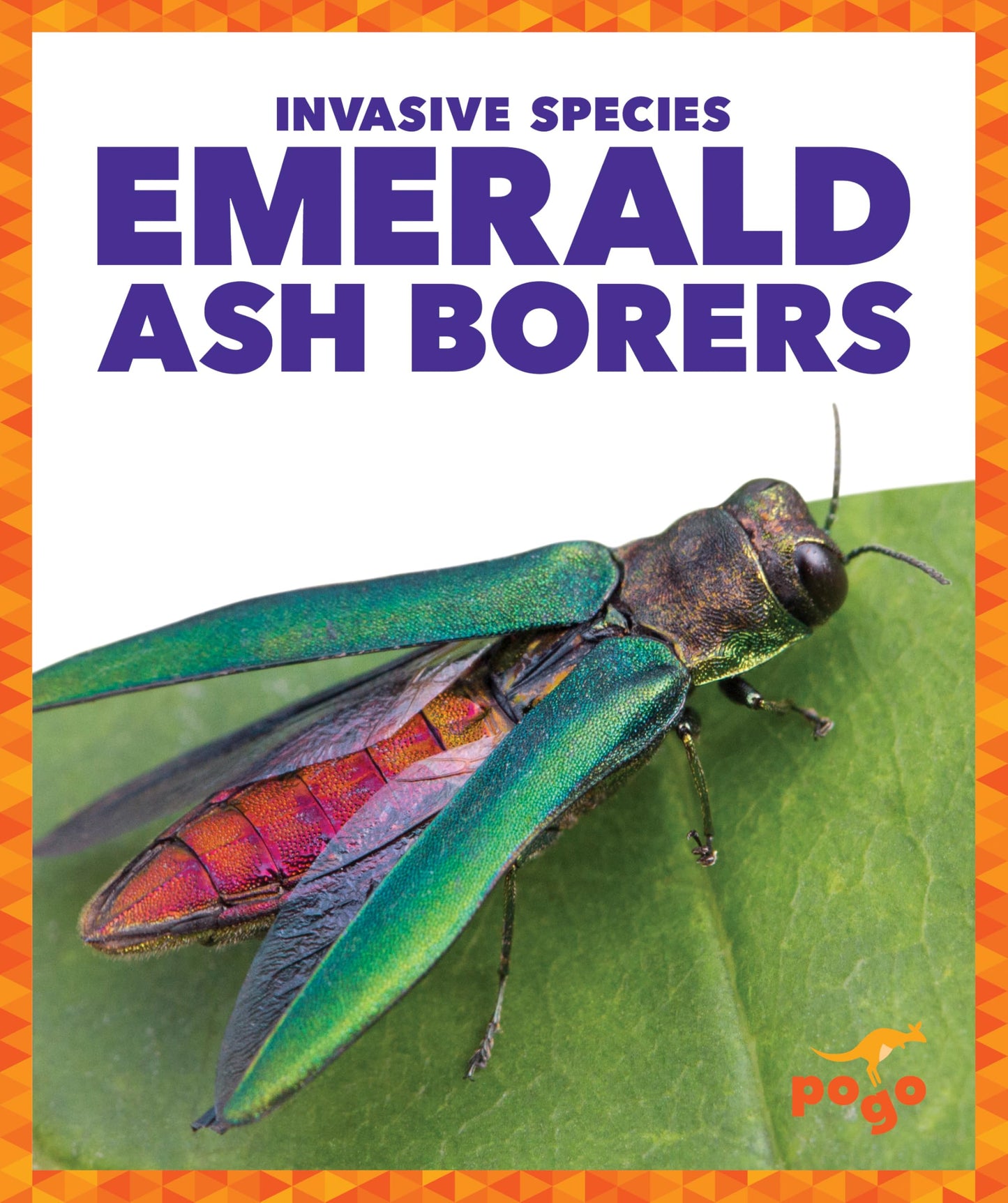 Emerald Ash Borers (Pogo Books: Invasive Species)