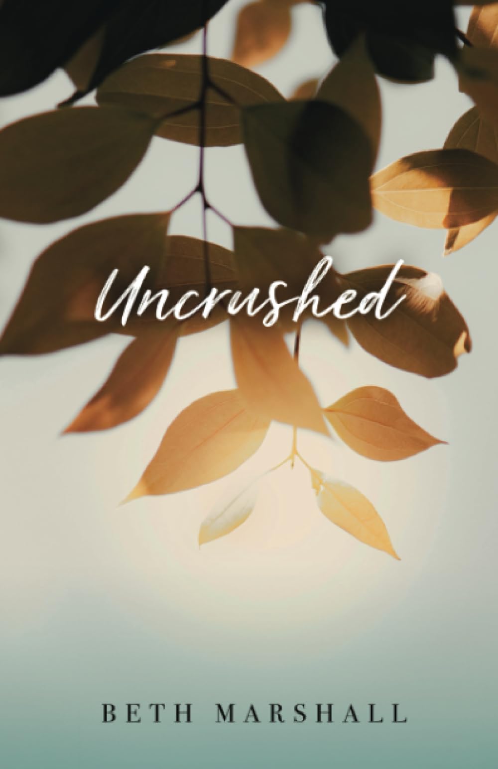 Uncrushed - 8221