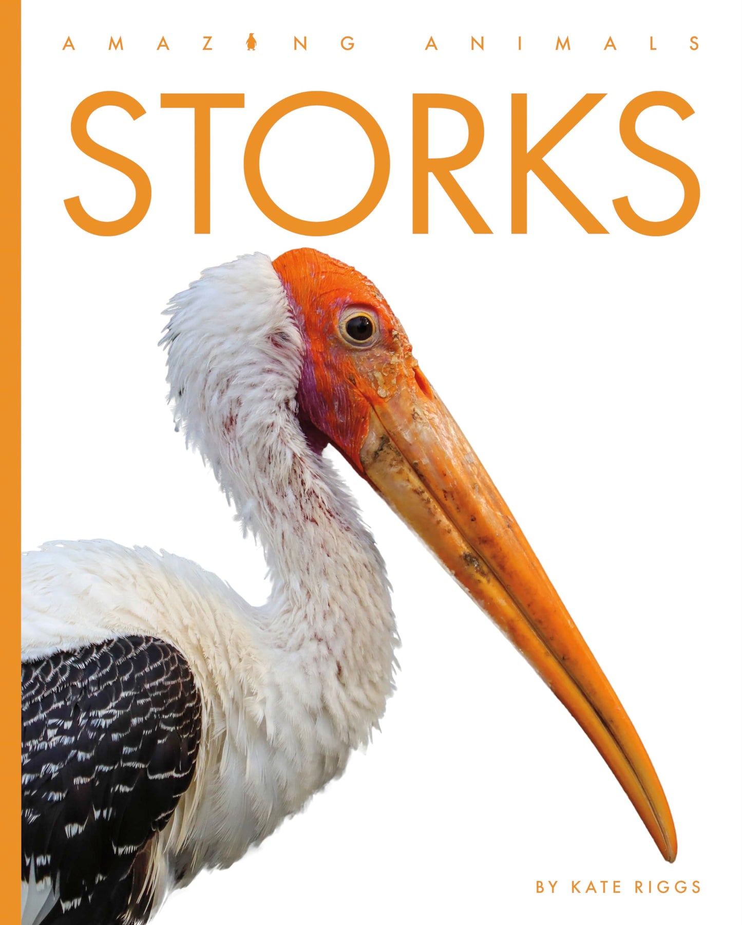 Storks (Amazing Animals)