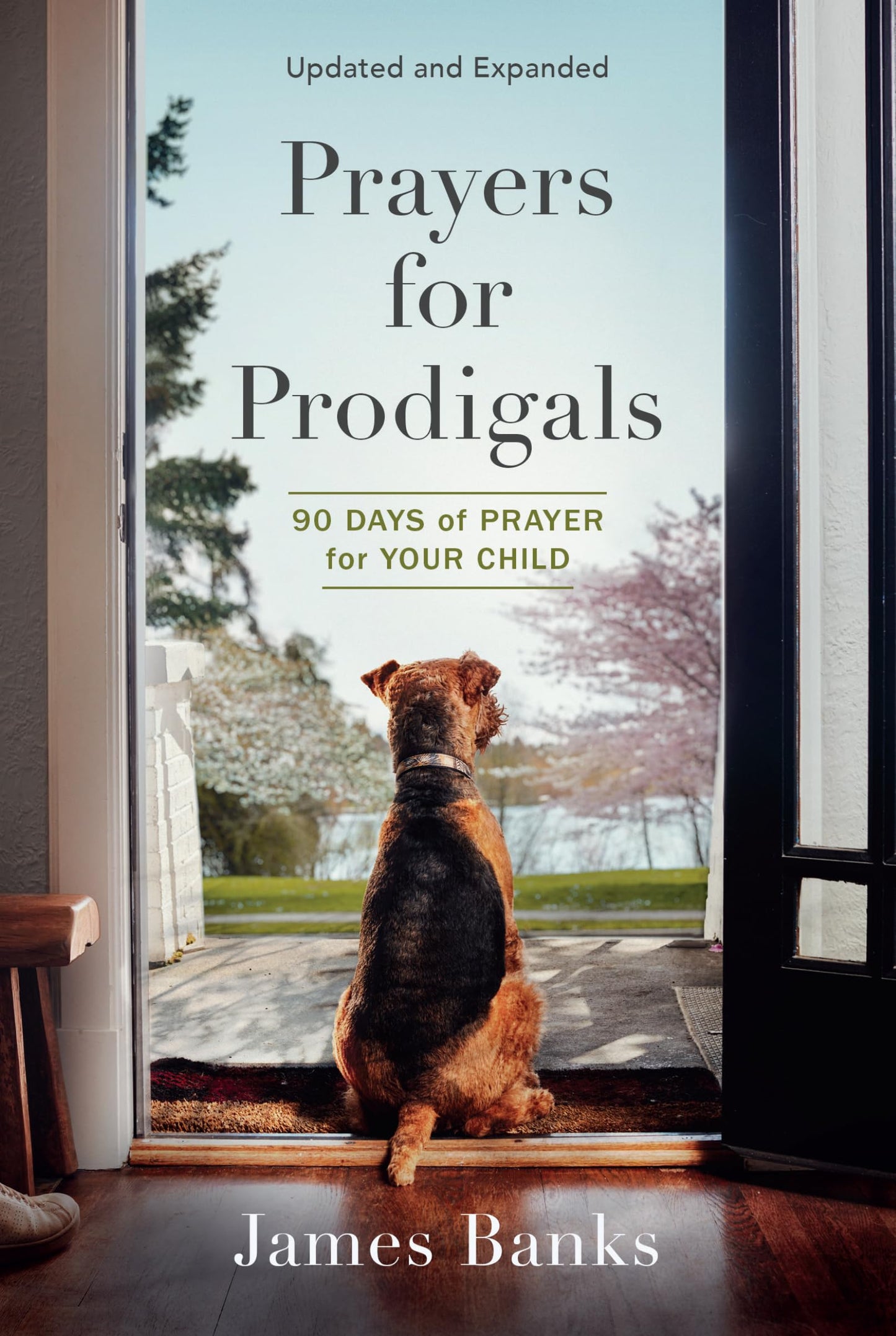 Prayers for Prodigals: 90 Days of Prayer for Your Child (A Daily Devotional for Parents with Bible Readings and Meditations for Moms and Dads) - 5987