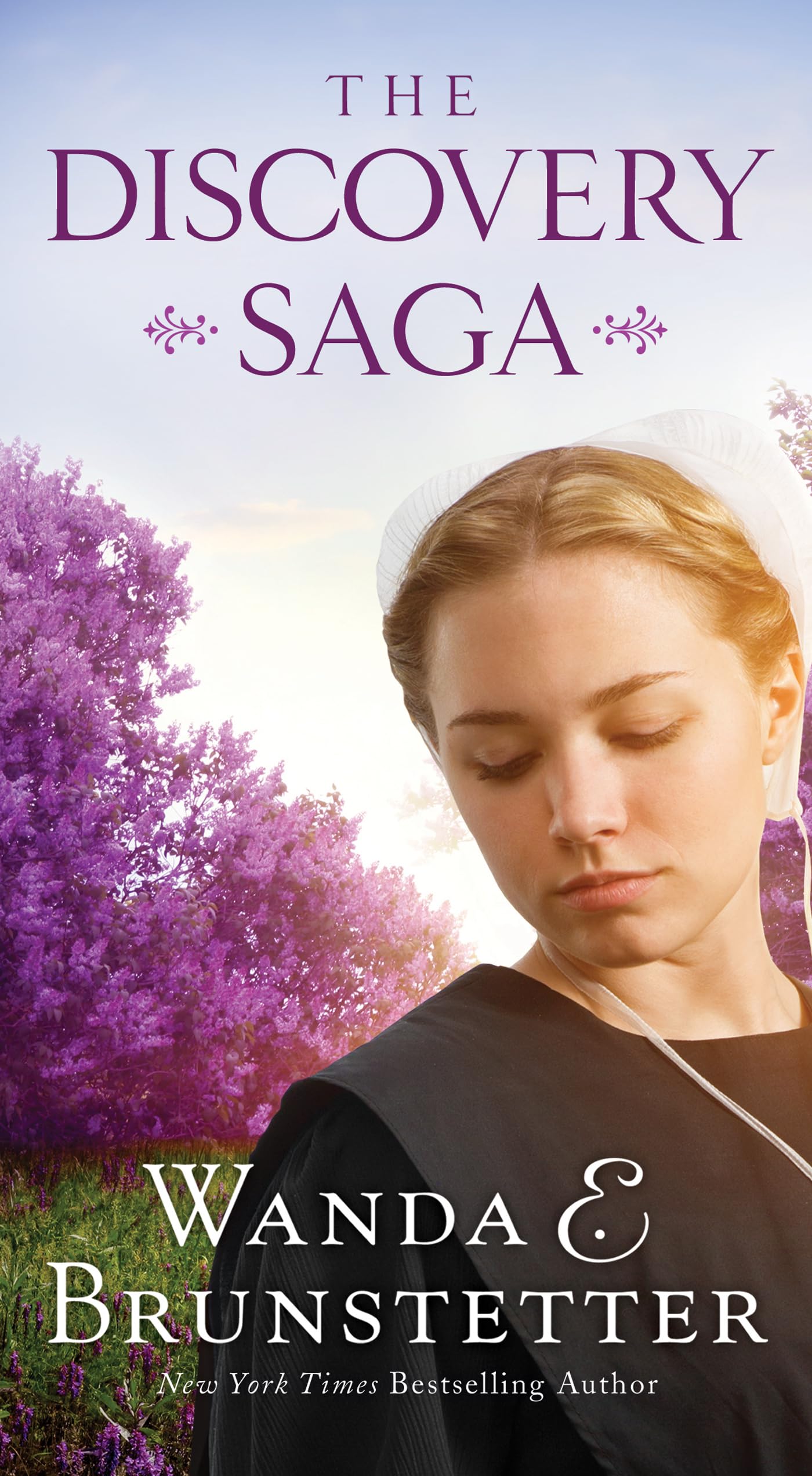 The Discovery Saga (Discovery - A Lancaster County Saga)