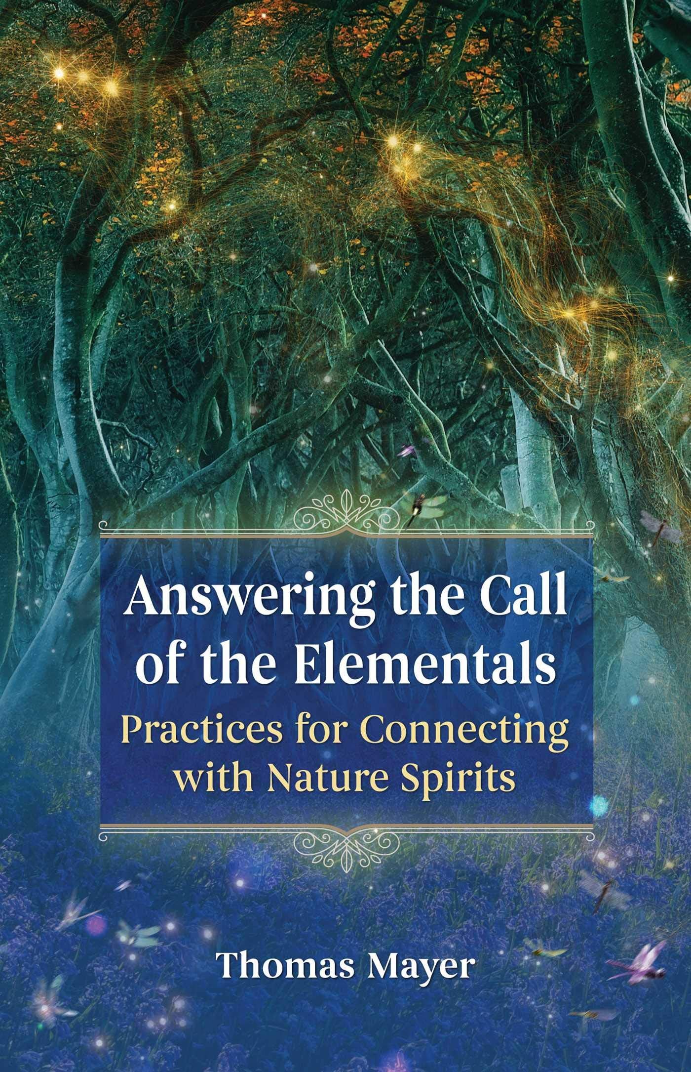 Answering the Call of the Elementals: Practices for Connecting with Nature Spirits - 590