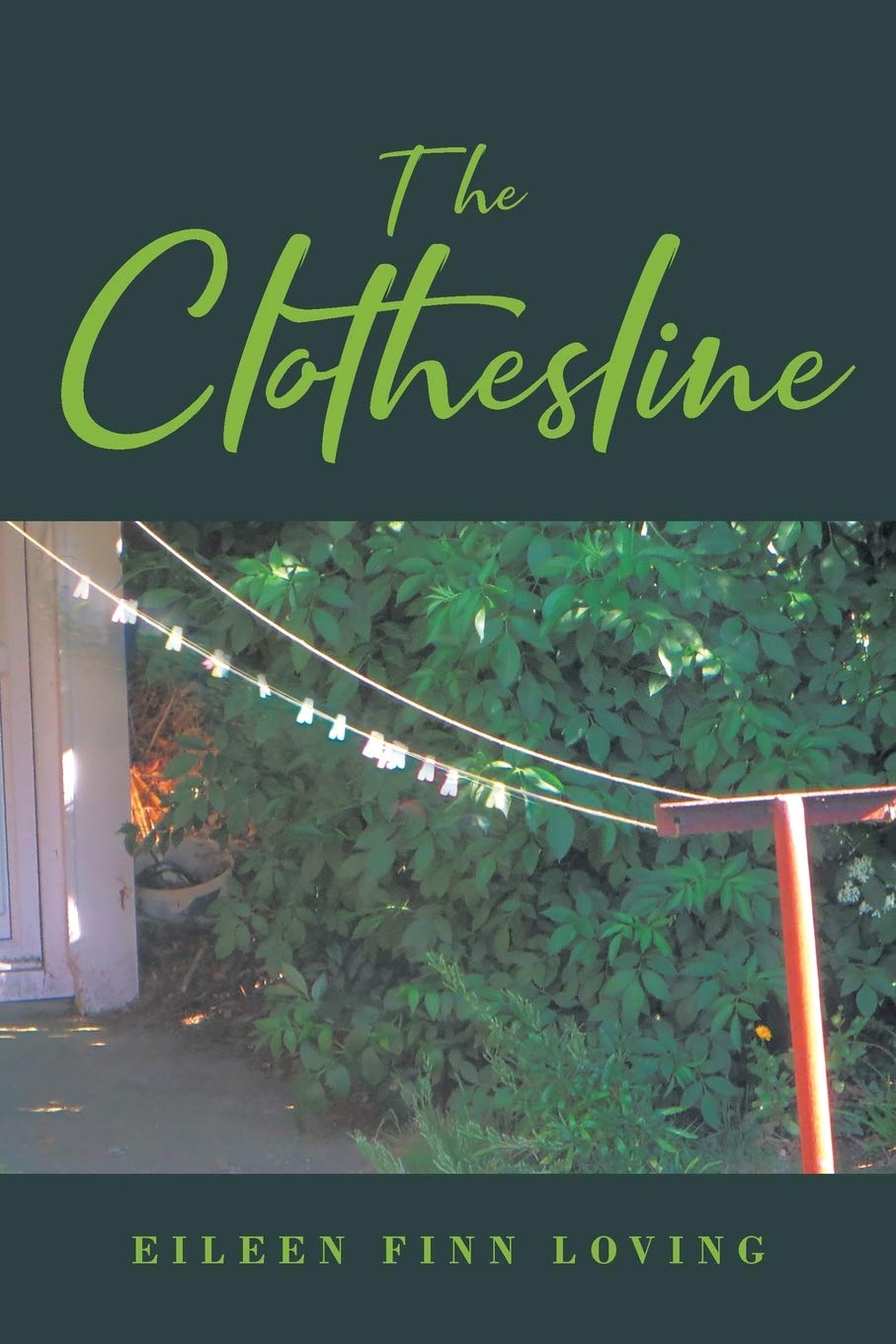 The Clothesline - 4167