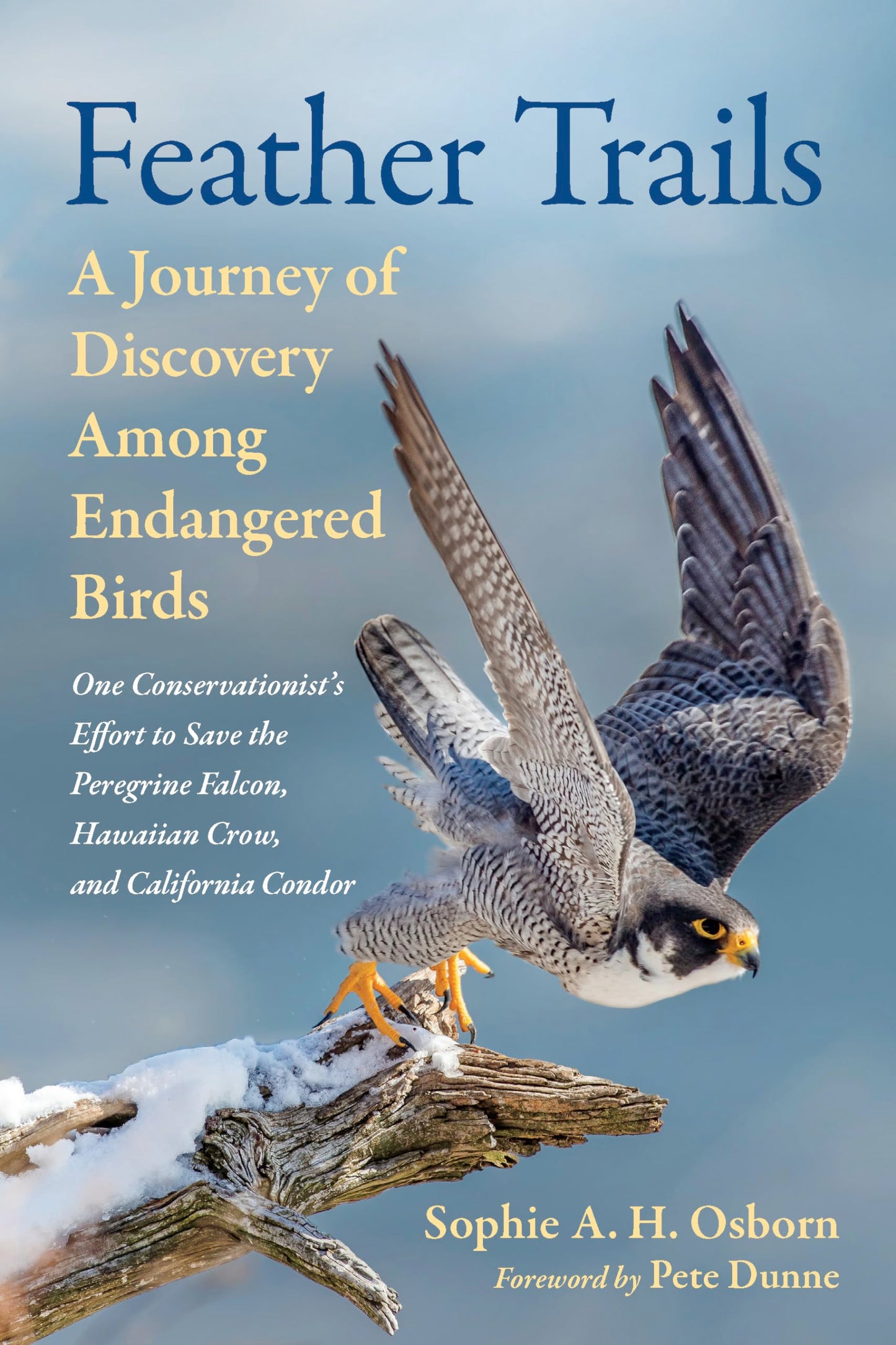 Feather Trails: A Journey of Discovery Among Endangered Birds