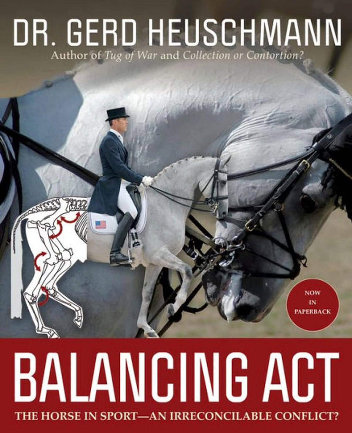 Balancing Act: The Horse in Sport—An Irreconcilable Conflict?
