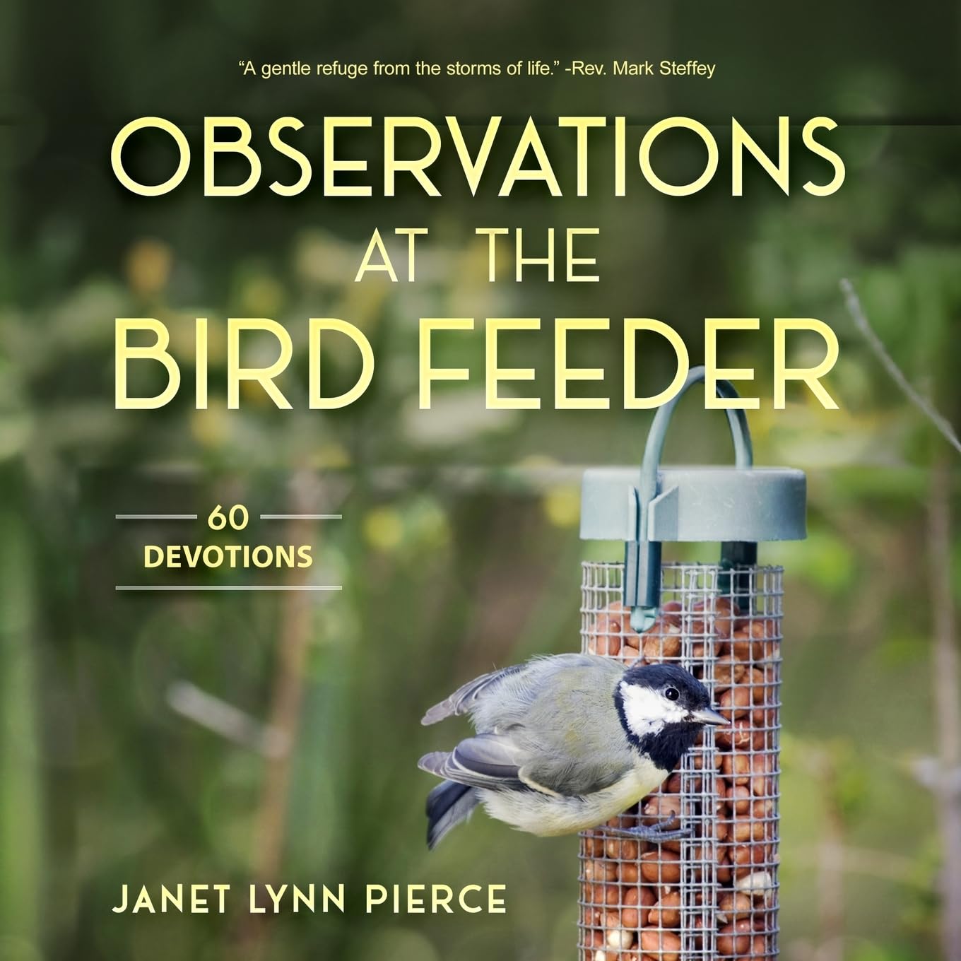 Observations at the Bird Feeder: 60 Devotions
