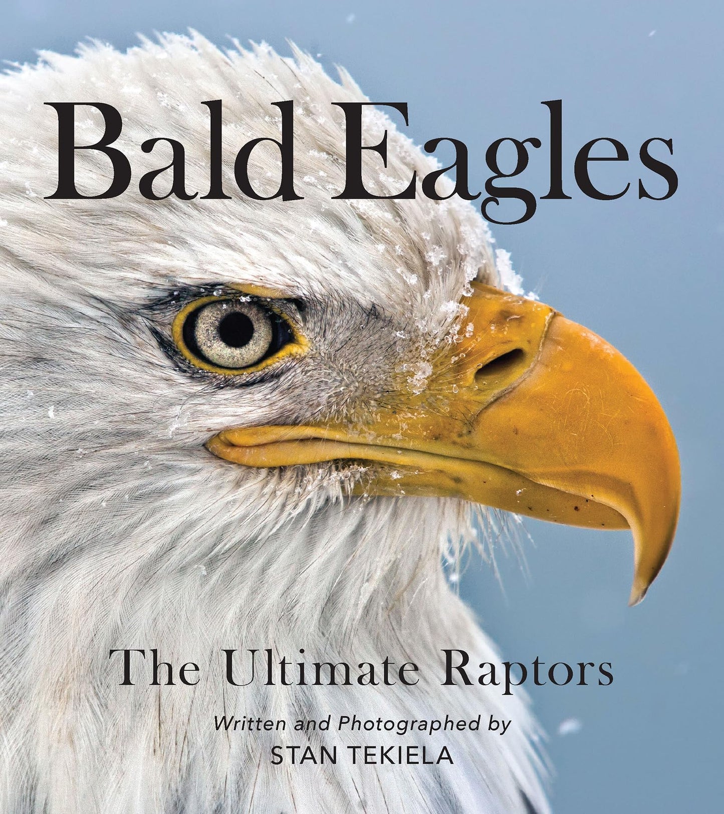 Bald Eagles: The Ultimate Raptors (Favorite Wildlife) - 4515