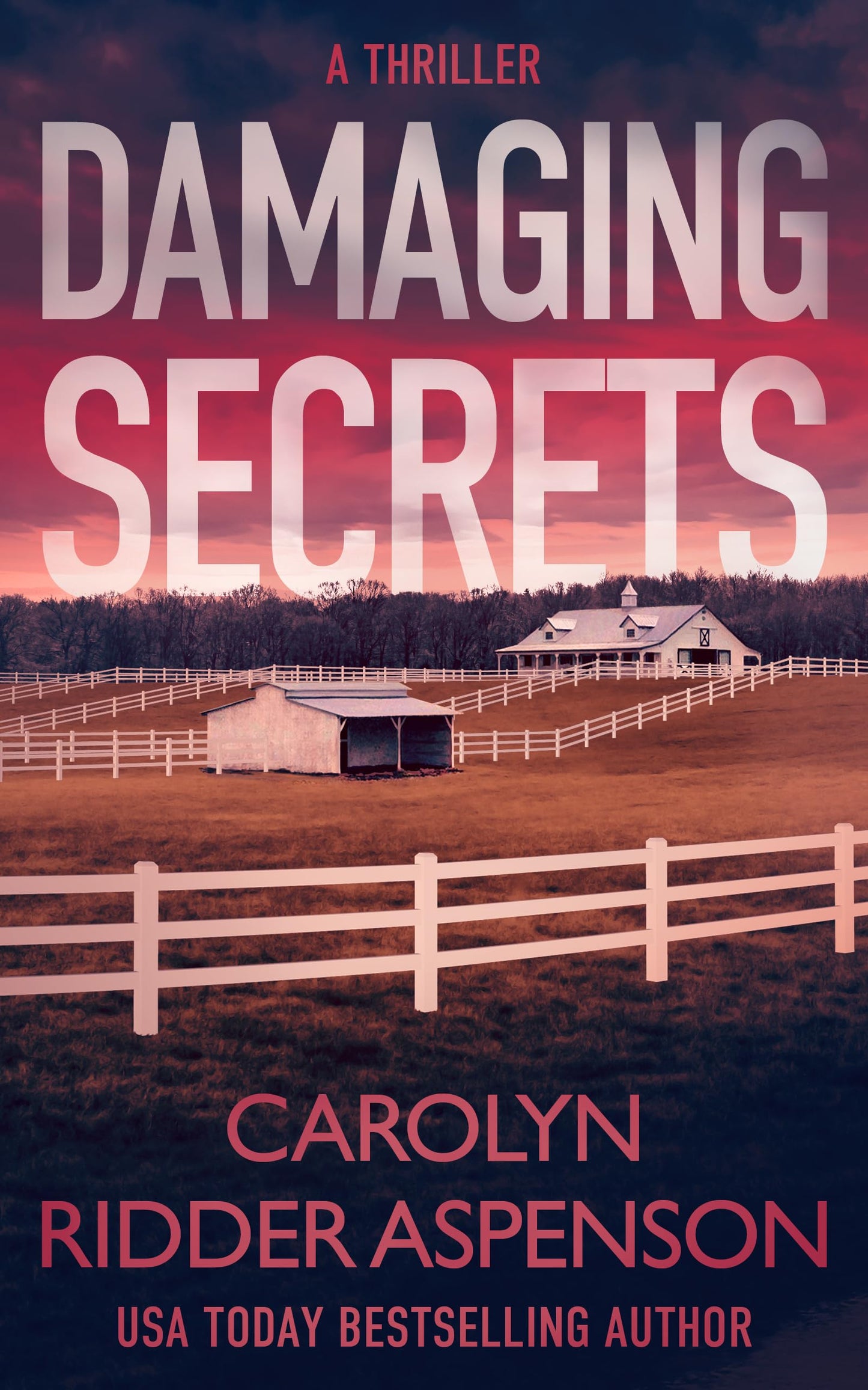 Damaging Secrets (Rachel Ryder)