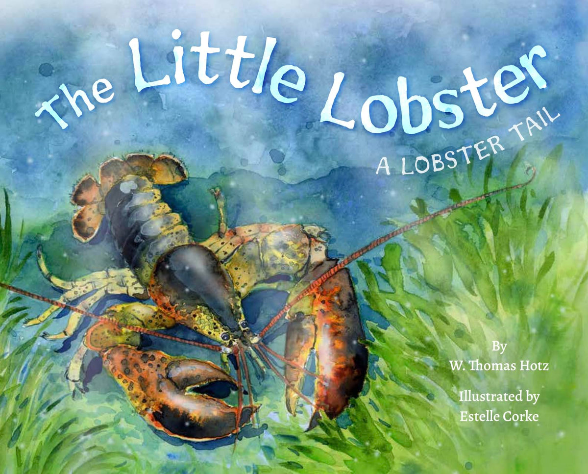 The Little Lobster