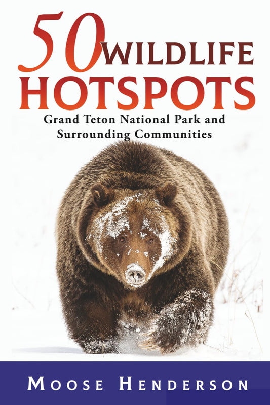50 Wildlife Hotspots: Grand Teton National Park and Surrounding Communities - 8146