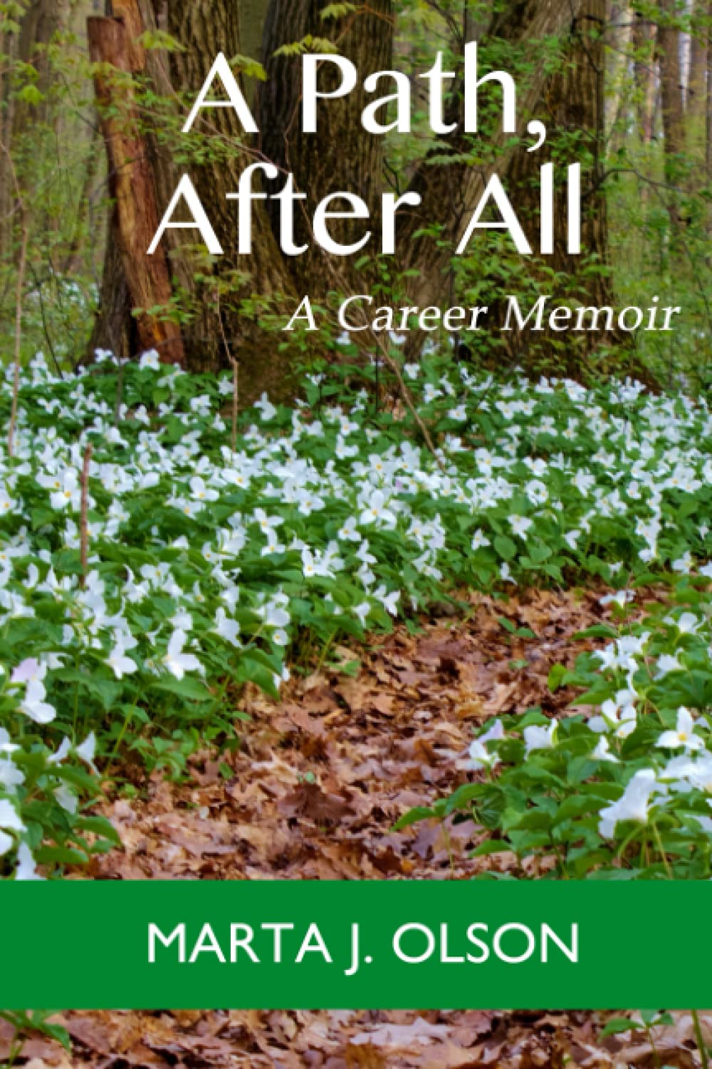 A Path, After All: A Career Memoir