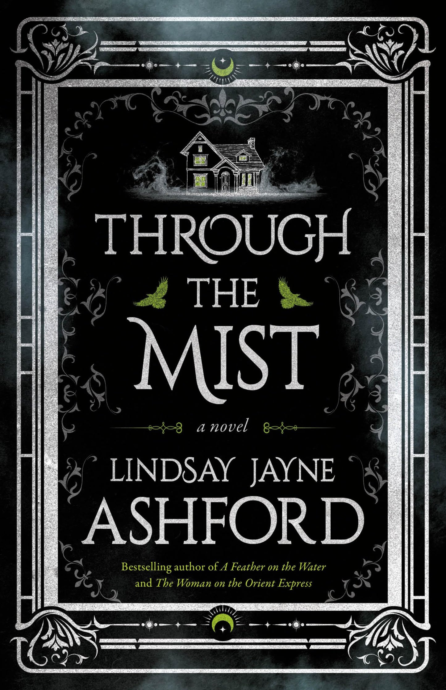 Through the Mist: A Novel