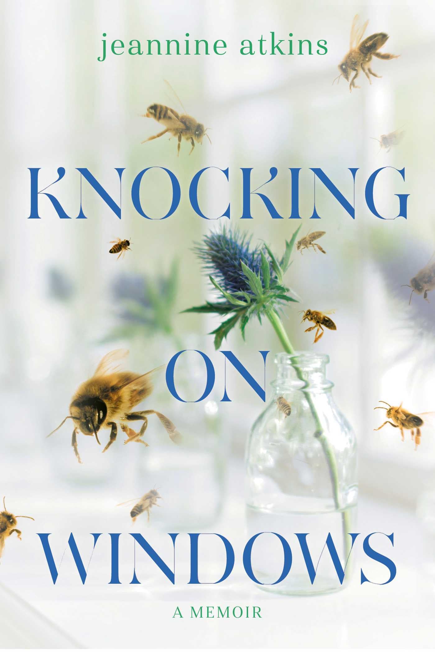 Knocking on Windows: A Memoir