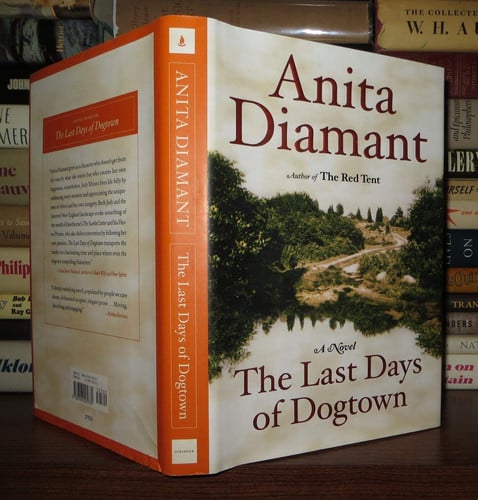 The last days of Dogtown: a novel