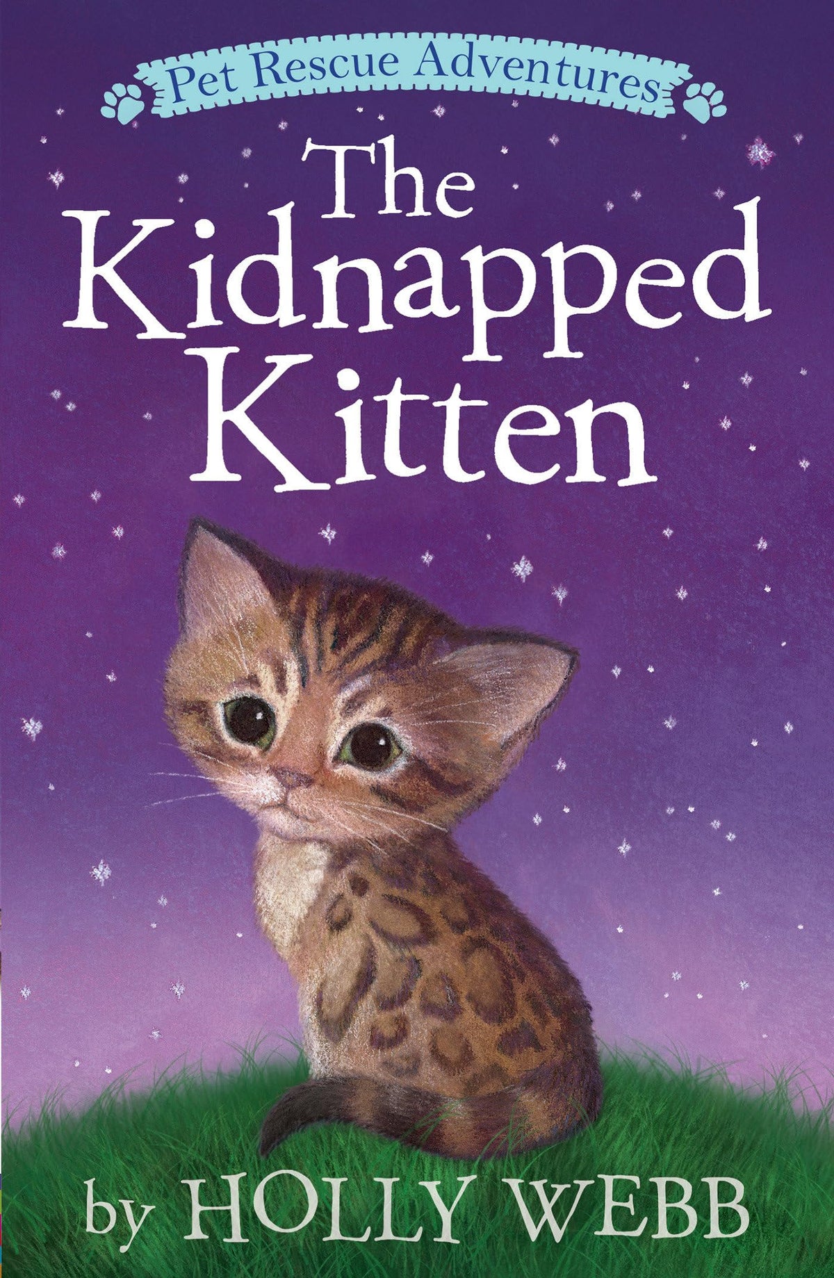 The Kidnapped Kitten (Pet Rescue Adventures)
