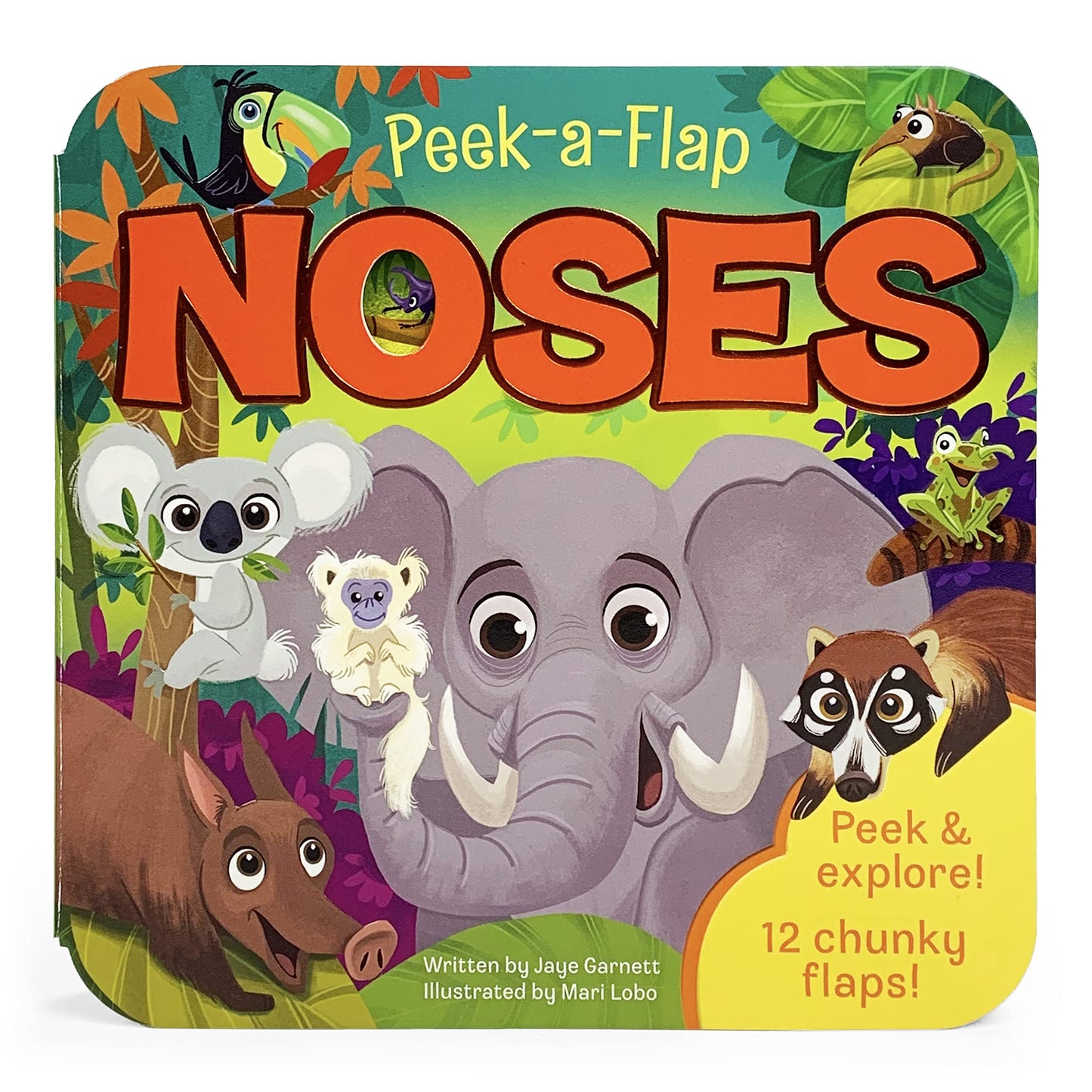 Noses (Peek-a-flap)